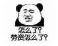 劳资怎么了?（劳资怎么了?）