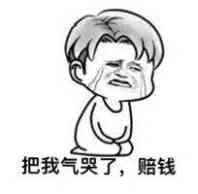 把我气哭了，赚钱（把我气哭了，赚钱）