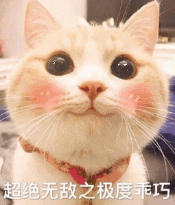超绝无敌之极度巧（超绝无敌之极度巧）