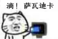滴！萨瓦迪卡（滴！萨瓦迪卡）