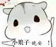 小娘子，晚安！（仓鼠）（小娘子，晚安！（仓鼠））