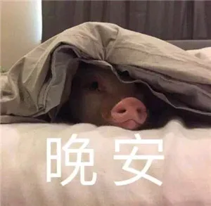 晚安（晚安）