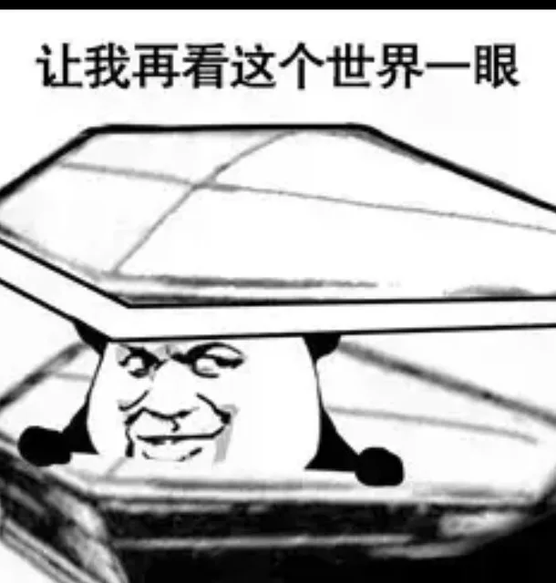 让我再看这个世界一眼（让我再看这个世界一眼）