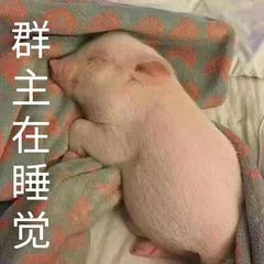 群主在睡觉（群主在睡觉）