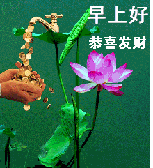 早上好，恭喜发财（早上好，恭喜发财）