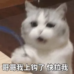 哥哥我上钩了，快拉我（哥哥我上钩了，快拉我）