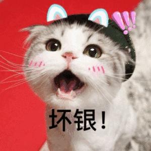 坏银！（坏银！）