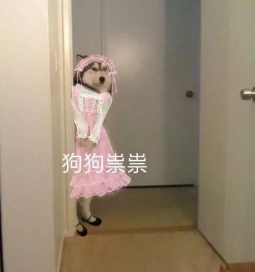 狗狗祟崇（狗狗祟崇）