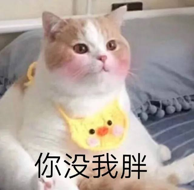 你没我胖（你没我胖）