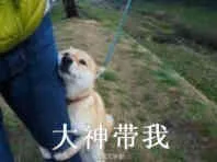 大神带我（大神带我）