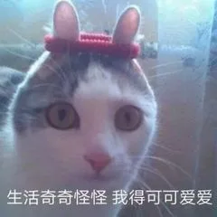 生活奇奇怪怪，我得可可爱爱（生活奇奇怪怪，我得可可爱爱）