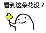 看到这朵花没（看到这朵花没）