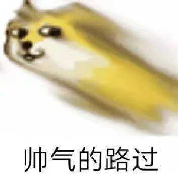 帅气的路过（帅气的路过）