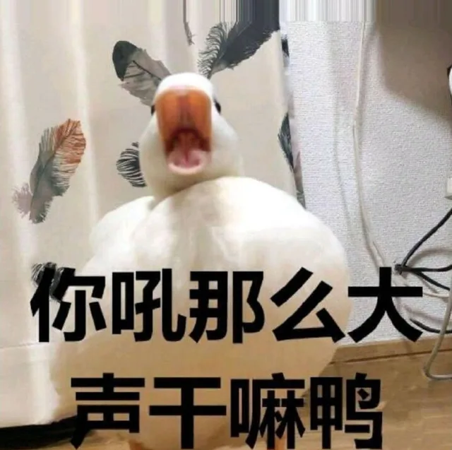 你吼那么大声干嘛鸭（你吼那么大声干嘛鸭）