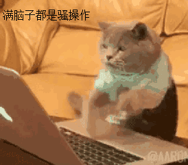 脑子都是骚操作（脑子都是骚操作）