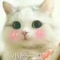 小脸一红（小脸一红）