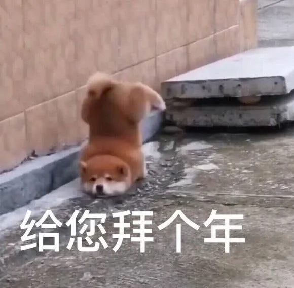 给您拜个年（给您拜个年）