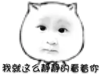 我就这么静静的看着你（猫脸）（我就这么静静的看着你（猫脸））