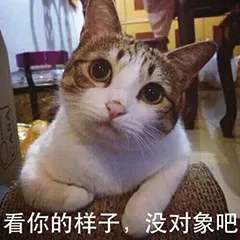 看你的样子，没对象吧（看你的样子，没对象吧）