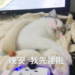 晚安，我先睡啦（晚安，我先睡啦）