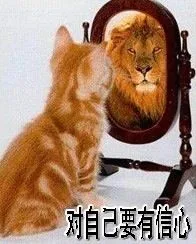 对自己要有信心（小猫照镜子）（对自己要有信心（小猫照镜子））