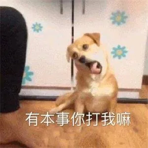 有本事你打我嘛（有本事你打我嘛）