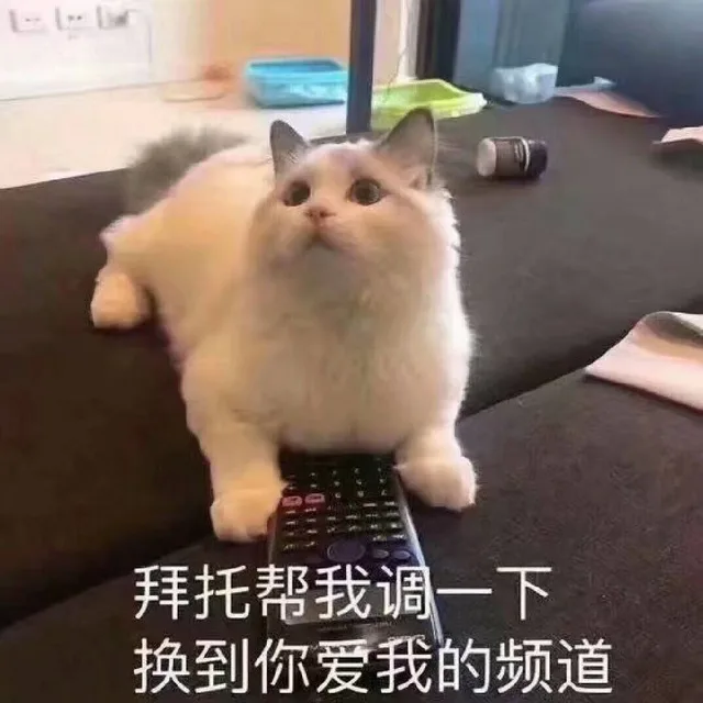拜托帮我调一下，换到你爱我的频道（拜托帮我调一下，换到你爱我的频道）