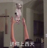 送你上西天（送你上西天）
