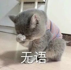 无语了（无语了）