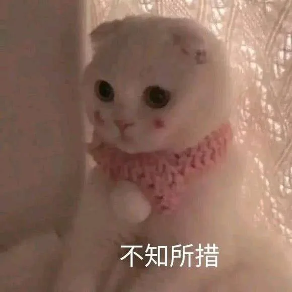 不知所措（不知所措）