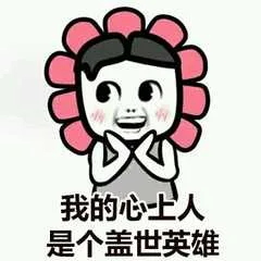 我的心人是个盖世英雄（我的心人是个盖世英雄）