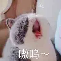 嗷鸣~（嗷鸣~）