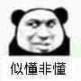 似懂非懂（似懂非懂）