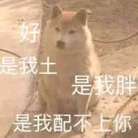 是我土，是我胖，是我配不上你（是我土，是我胖，是我配不上你）