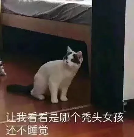 让我看看是哪个秃头女孩还不睡觉（让我看看是哪个秃头女孩还不睡觉）