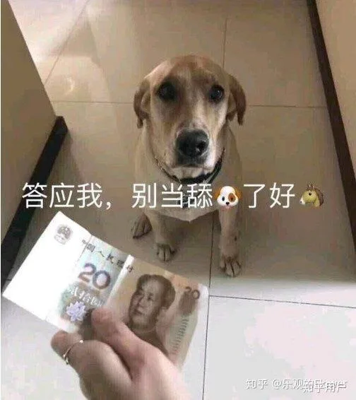 答应我，别当舔狗了好吗？（答应我，别当舔狗了好吗？）