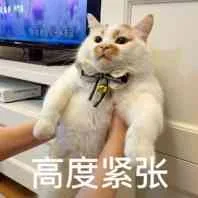 高度紧张（高度紧张）
