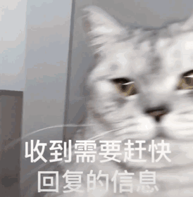回老子鸭（回老子鸭）