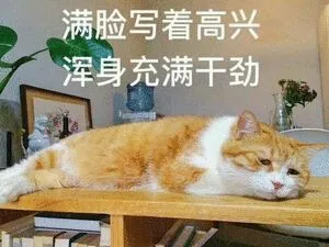 满脸写着高兴浑身充满干劲（满脸写着高兴浑身充满干劲）