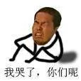 我哭了，你们呢（我哭了，你们呢）