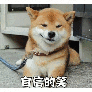 自信的笑（自信的笑）