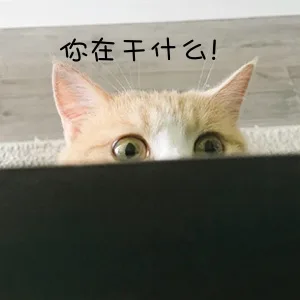 你在干什么（你在干什么）