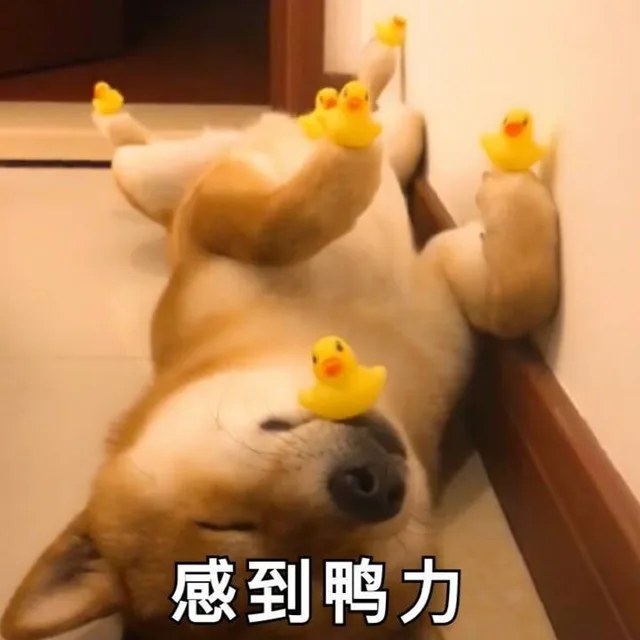 感到鸭力（感到鸭力）