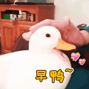 早鸭（早鸭）