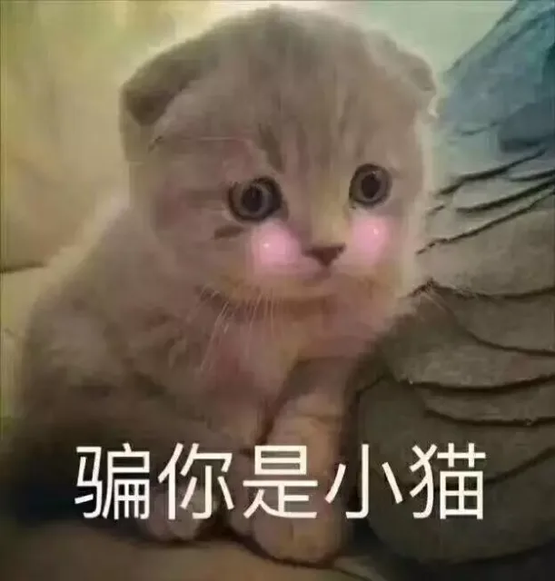 骗你是小猫（骗你是小猫）
