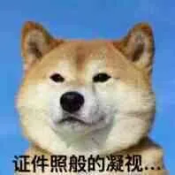 证件照般的凝视（证件照般的凝视）
