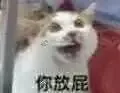 你放屁（你放屁）