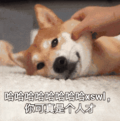 哈哈哈哈哈哈哈哈。你可真是个人才（哈哈哈哈哈哈哈哈。你可真是个人才）