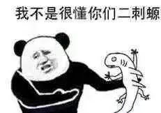 我不是很懂你们二刺螈（我不是很懂你们二刺螈）