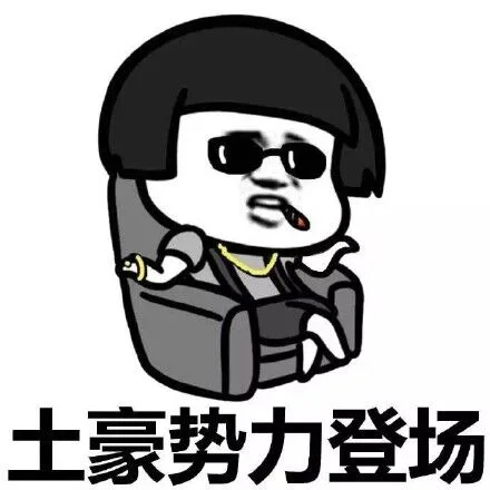 土豪势力登场（土豪势力登场）